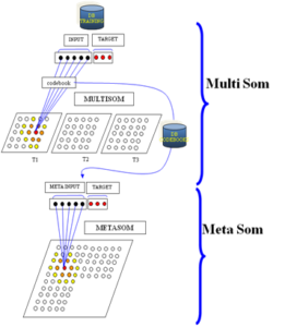 metamultisom1